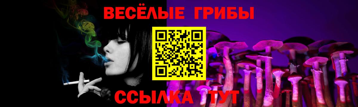 как найти   Галлюциногенные грибы мухоморы  Вход с VPN  Лосино-Петровский 